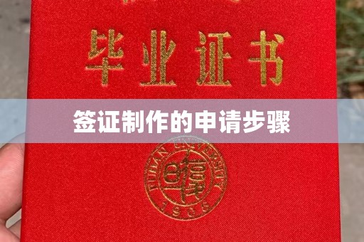红寺堡签证制作的申请步骤