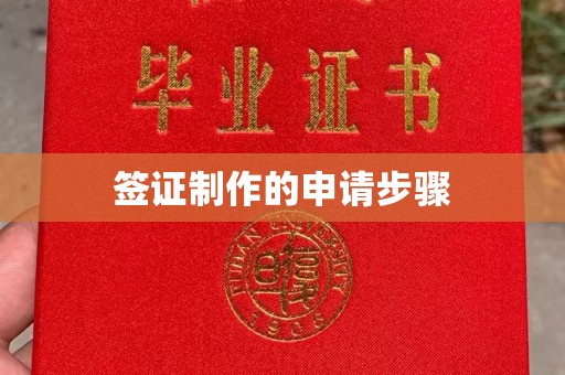 红寺堡签证制作的申请步骤