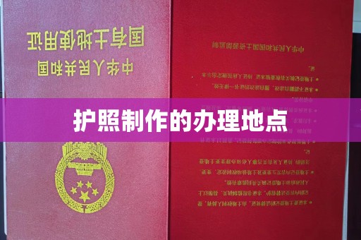 红寺堡护照制作的办理地点